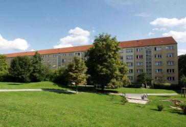 3-Raum-Wohnung in Citynähe
