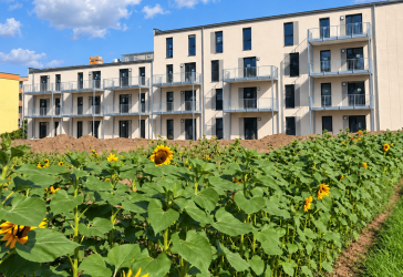 4 Zimmer, eigener Garten und die Blumenwiese vor der Tür