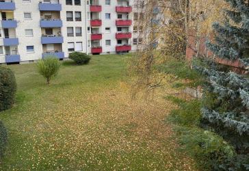 1 oder 2 Wohnungen im 2. OG in ruhiger Lage Wolfenbüttels zur Eigennutzung oder Vermietung