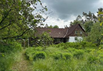 hübsches Wohnhaus direkt am Waldrand ***erfüllen Sie sich ihren Traum***