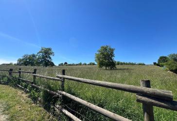 Mitten in Backnang 'Moderne und sehr großzügige DHH in reizvoller Lage und mit ruhiger Gartenidylle'