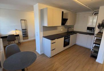 Sanierte 1-Zimmer Wohnung im Lehenviertel - ideale Kapitalanlage, provisionsfrei