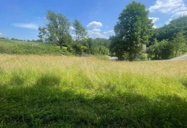 Lützingen/Waldbröl: Idyllisches Grundstück Dorflage