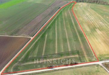 Landwirtschaftliche Fläche in Grafentraubach (LK Straubing-Bogen) 4,94 ha