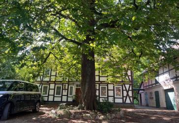 Vorschaubild Bauernhaus