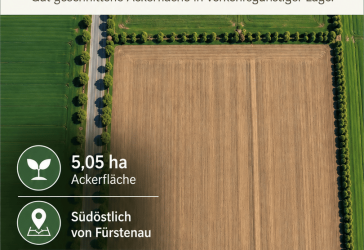 Vorschaubild Grundstück