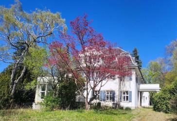 Vorschaubild Villa