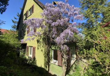 Toplage Uhlandshöhe - 3-Familien Haus! Werthaltige Kapitalanlage mit Entwicklungspotenzial!