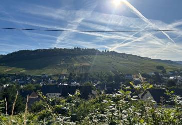 Vorschaubild Grundstück