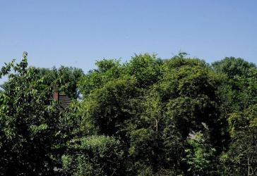 freistehendes Einfamilienhaus mit zusätzlichen An- und Ausbauoptionen an der Urdenbacher Kempe