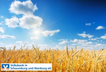 Vorschaubild Immobilie