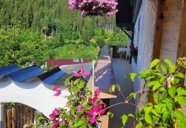Bezauberndes Schwarzwaldhaus/ Ferienhaus zu verkaufen