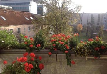 3,5 Zimmer, Südbalkon, Fahrstuhl, PKW-Stellplatz - Kröpeliner Tor Vorstadt