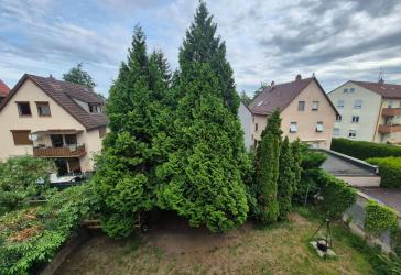 4 Zimmer Wohnung in Heilbronner Kernstadt