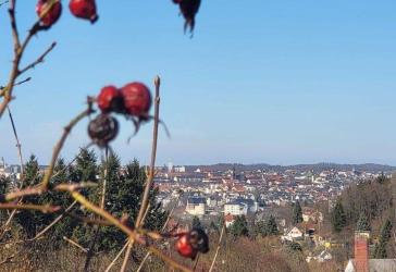 Vorschaubild Grundstück