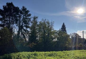 Vorschaubild Freizeitgrundstück