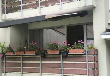 2 Zimmer Wohnung Frankenforst Bergisch Gladbach