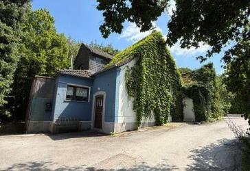 Mit Geschick und Mut wird`s bestimmt ganz gut: Freist. EFH mit Wald-Grundstück!