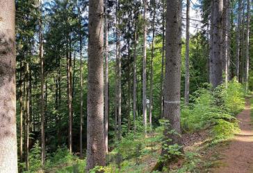 Vorschaubild Freizeitgrundstück