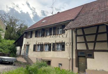 Vorschaubild Bauernhaus