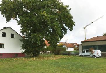 Vorschaubild Grundstück
