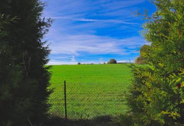 Vorschaubild Grundstück