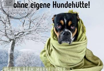 Ungewöhnliches Haus auf großem Grundstück
