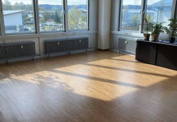 Bürofläche / Studio mit Zugspitzblick