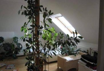 Vorschaubild Maisonettewohnung