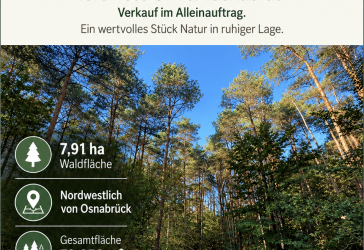 Vorschaubild Immobilie