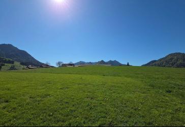 Vorschaubild Grundstück