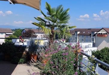 Vorschaubild Penthouse