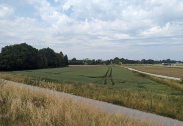 Landwirtschaftsfläche/Ausgleichsfläche in Straubing!