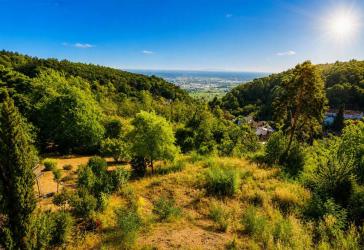 Neustadt-Hambach: Unverbaubares Baugrundstück in exklusiver Höhenlage mit Panoramablick!