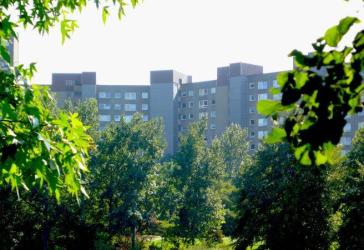 Geräumige 3-Zimmer-Wohnung in Darmstadt-Kranichstein