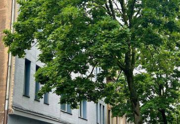 Vorschaubild Mehrfamilienhaus