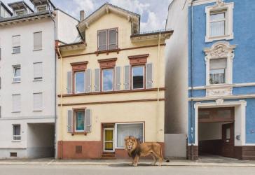Vorschaubild Mehrfamilienhaus