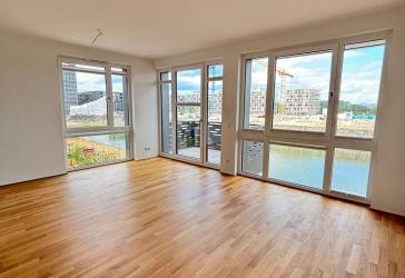 Exklusive Neubau-Maisonette mit Rheinblick - Exklusive Neubauwohnung mit Hauscharakter