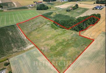 Landwirtschaftliche Fläche in Leiblfing (SR, BOG) - Fläche mit ca. 3,06 ha, 47/44+59/53, LIIIb2+L4D