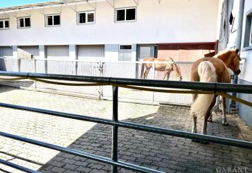 Wo Pferde zuhause sind und Reiter glücklich werden!