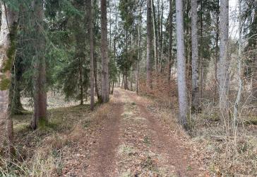 Vorschaubild Immobilie