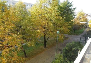 Kapitalanlage, Vermietete 4-Zi-Whg! Keine Eigennutzung! Gut geschnitten, Balkon, Hochhaus in Kaulsdof