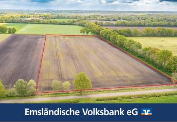 Rd. 3,06 Hektar Ackerland in Rhede -Brual zu verkaufen