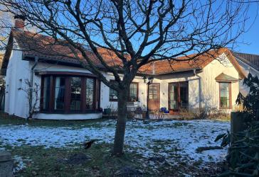 Bungalow in erster Reihe zum Bodden in sehr ruhiger Lage in Born a. Darß