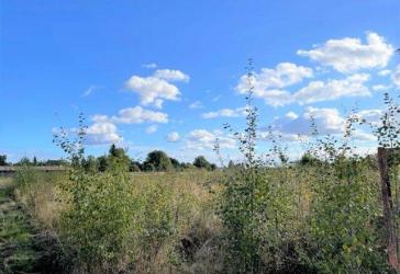 Vorschaubild Grundstück