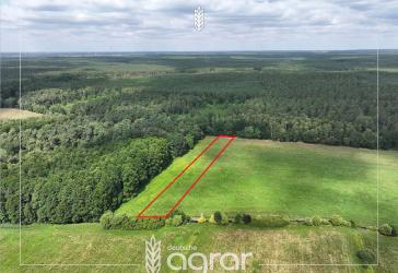 Grünland (ca. 0,3 ha) zw. Gardelegen und Letzlingen - am Rande der Colbitz-Letzlinger Heide
