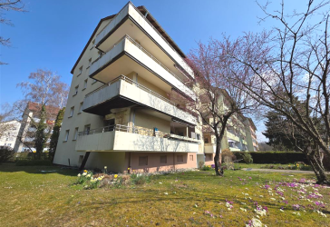 große Wohnung in beliebter Lage.