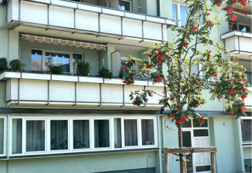Vorschaubild Wohnung