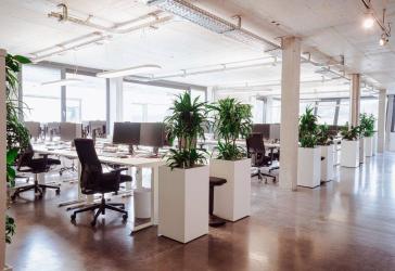 Vorschaubild Büro- /Praxis-Immobilie