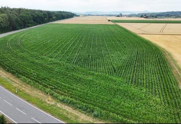 Vorschaubild Immobilie
